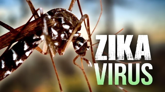 Asciende a mil 884 los casos  de zika en México: SSa