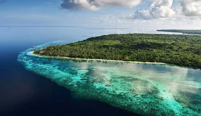 Wisata Mangrove Pulau Kaledupa