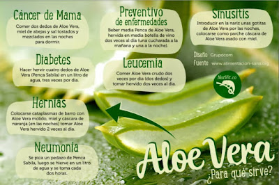 Principales usos terapeuticos del gel y jugo de Aloe 