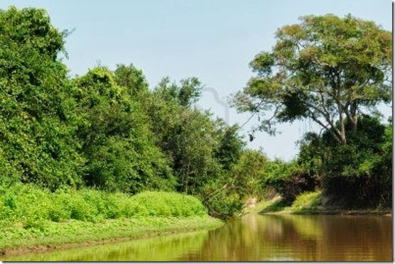 Pampas del Yacuma (Beni)