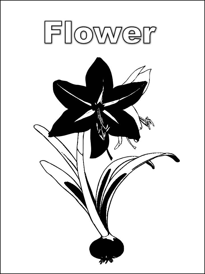 flower coloring pages for preschoolers. Flower coloring pages for kids