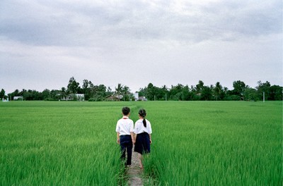 Pipo Nguyen-Duy