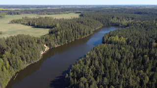 Saesaare paisjärv