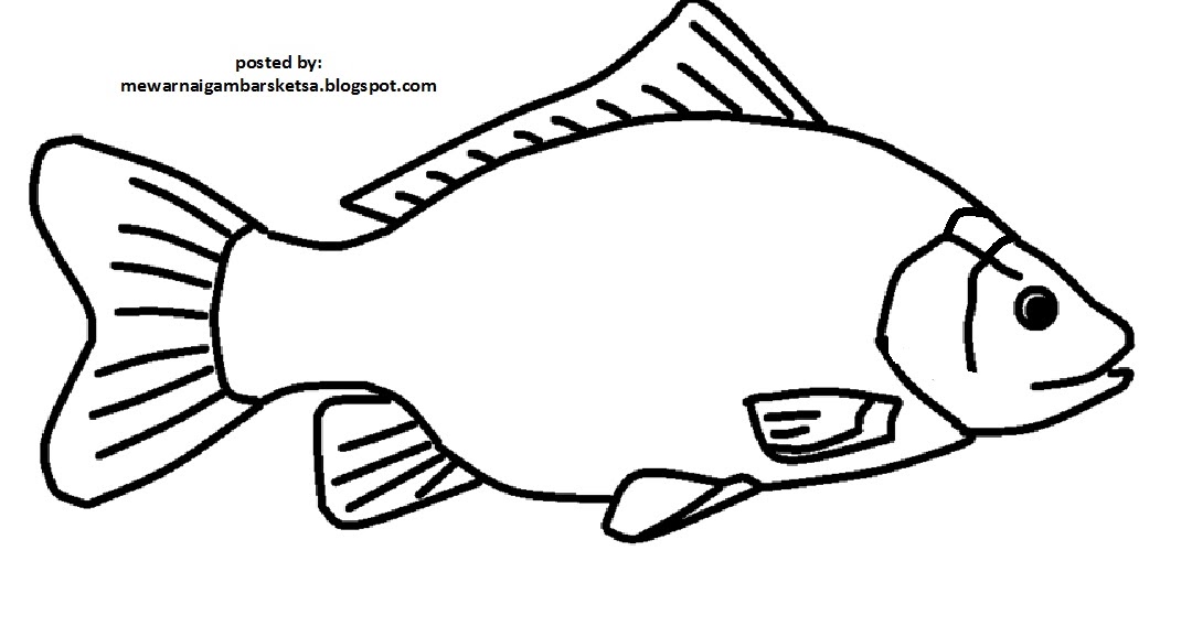 Mewarnai Gambar Sketsa Hewan Ikan 10