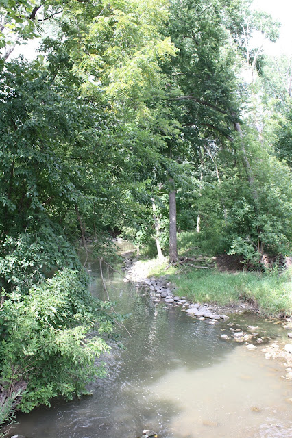 The gentle Pike River in Wisconsin almost mesmerizes with its delicate flow.