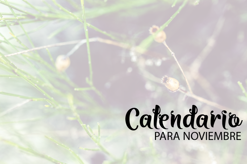 Calendario noviembre 2016