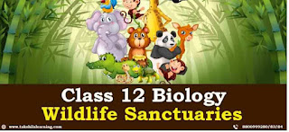 wildlife sanctuary Class 12 Science