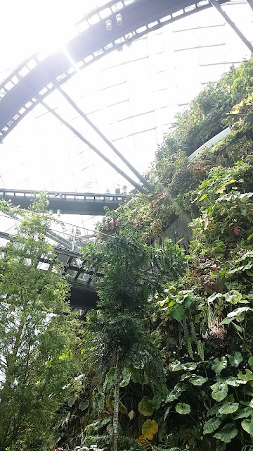 gardens by the bay cloud forest mountain treetop walk