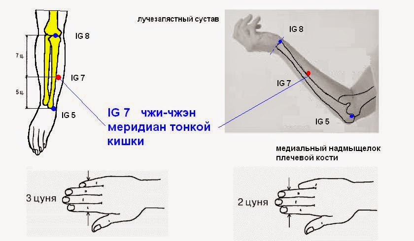 Включи точек 7