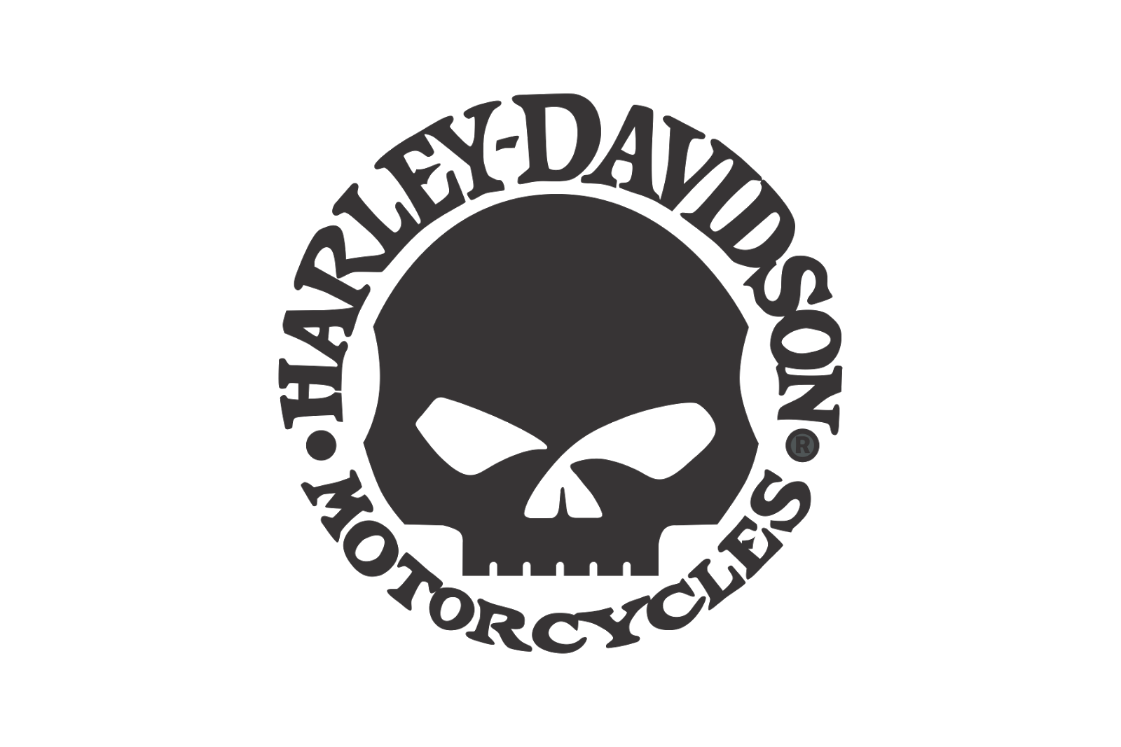  Harley  Davidson  Skull Logo 