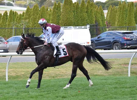 race 7_land of plenty 2