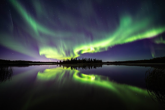 Image of Aurora Borealis reflecting on water over trees on the horizon