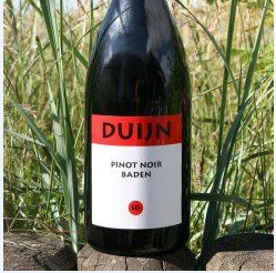 Besuchen Sie das Weingut Duijn