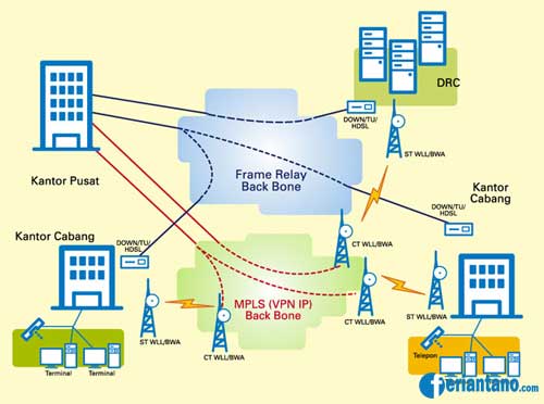 Jenis Jenis Jaringan Komputer - Feriantano.com