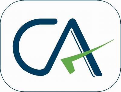 Suggested Answers For Ca Final Nov 2010. CA Logo