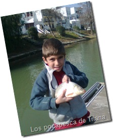 Imagen0029