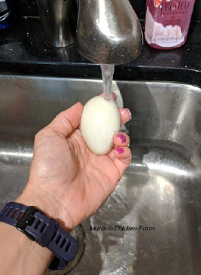 washing a chicken egg removes the bloom.
