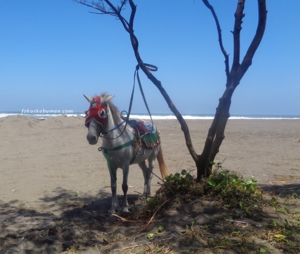 Tempat Wisata Pantai Sawangan Puring Kebumen ✔ Objek Wisata Pantai Sawangan Surorejan Puring Kebumen