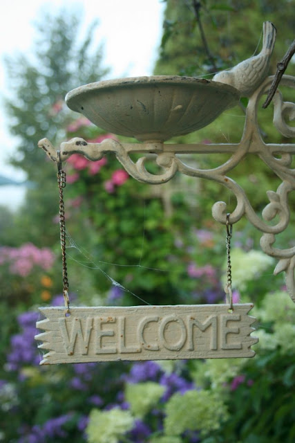 Bird Feeder Garden