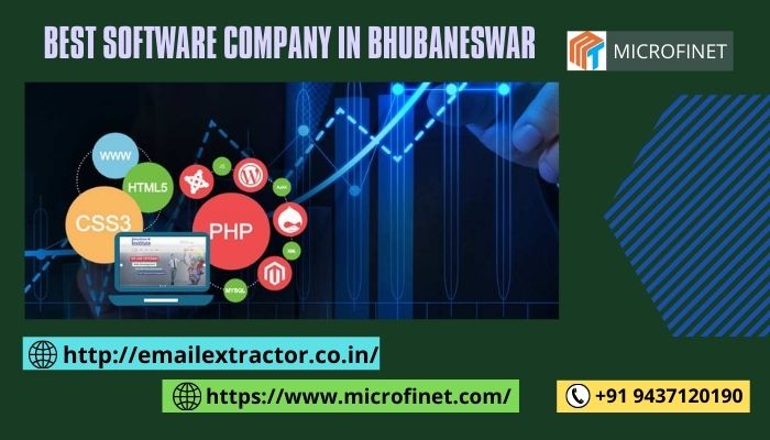 Best-Software-Company-in-Bhubaneswar-microfinet.com_