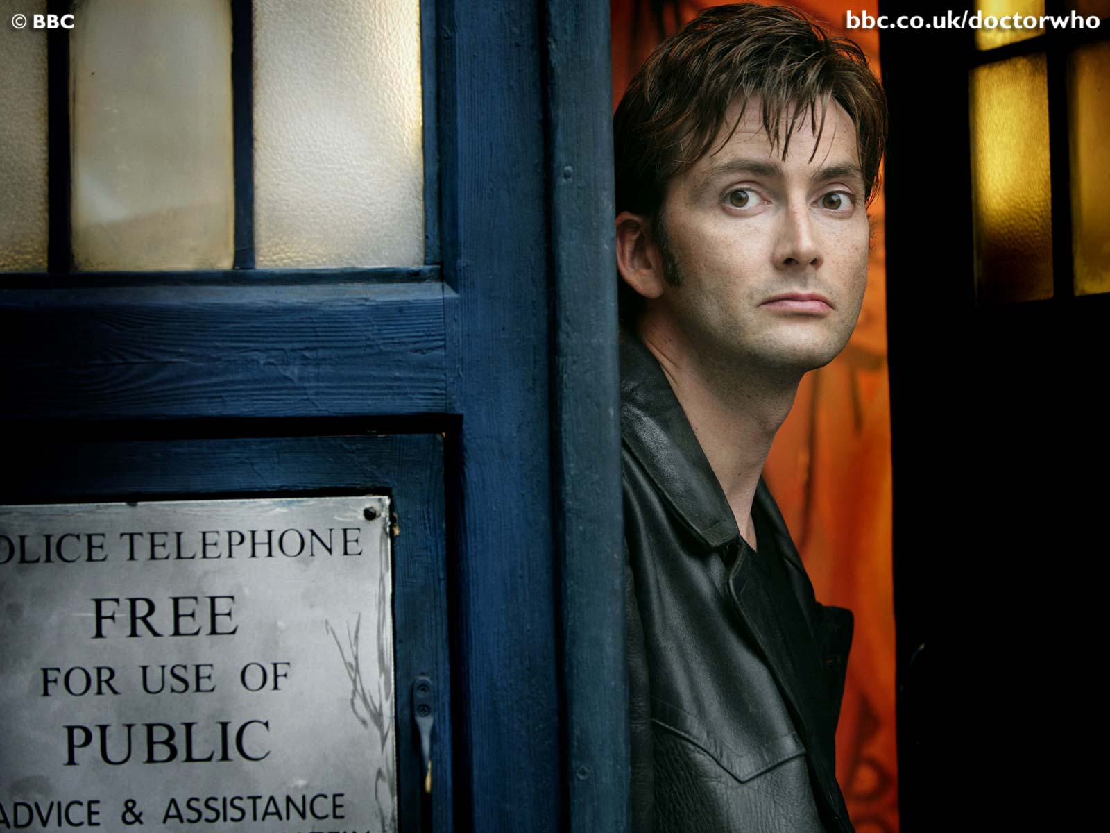 Down The Rabbit Hole: A Companion's Guide: The 10th Doctor