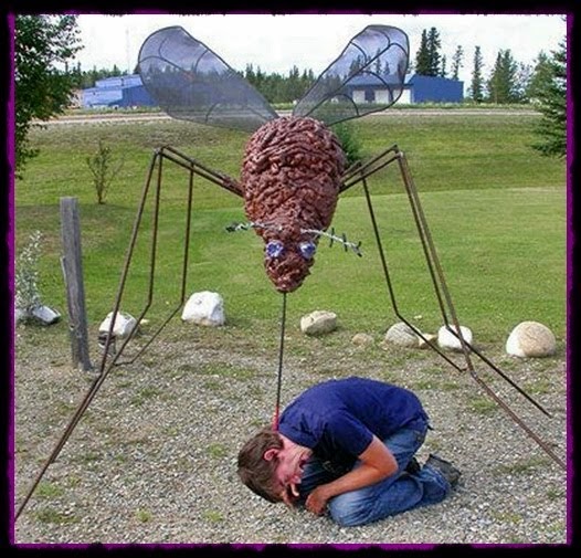 Ubat Nyamuk Untuk Camping - Jurupulih a
