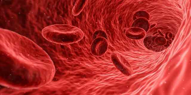 أنواع فقر الدم وأعراضه وطرق العلاج