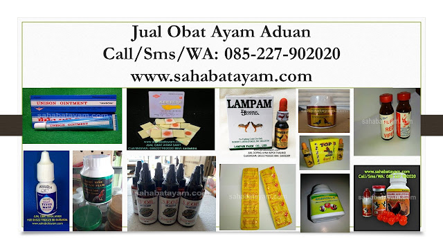 obat ayam laga