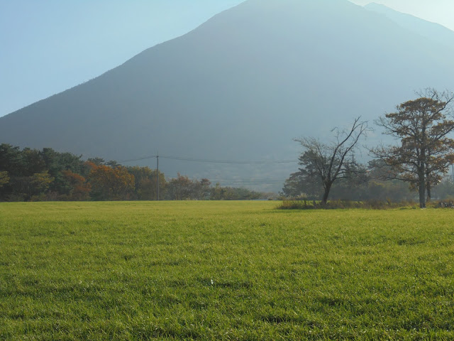 大山牧場の牧草地の風景