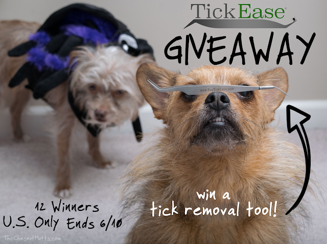 Giveaway: TickEase Tick Removal Tool