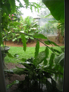 rain on the window