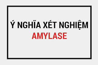Định lượng amylase là gì, chỉ số amylase bình thường, Các yếu tố tăng giảm amylase, amylase máu, amylase niệu, các yếu tố tăng giảm amylase máu niệu.