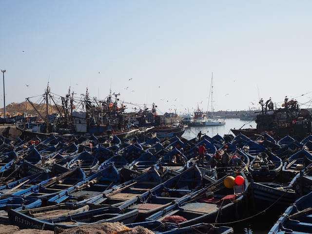 Que faire à Essaouira, Maroc