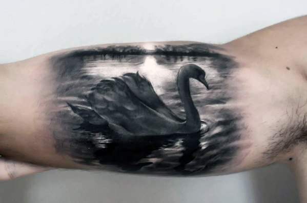 Tatuagem de Cisne - 26 fotos e modelos