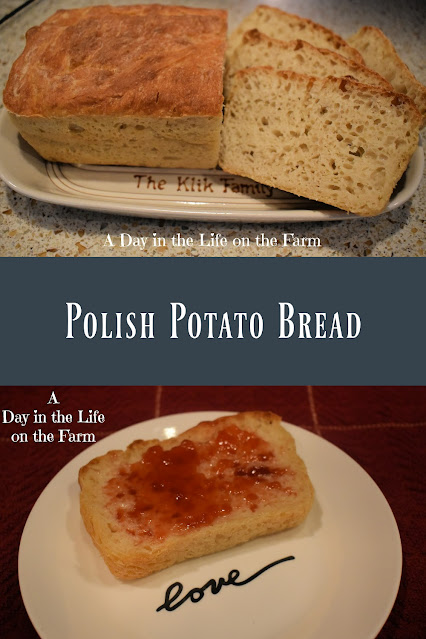 Polish Potato Bread pin