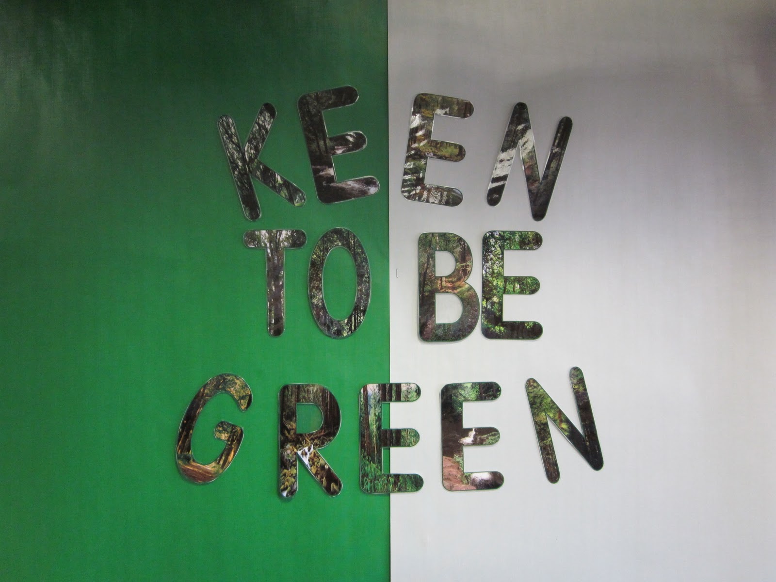Teddy from Russia: Keen To Be Green!