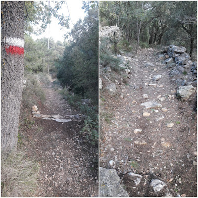 GR-7 ARBOLÍ A MONTRAL, sender entre el Mas del Sastre i el poble de Mont-ral al terme municipal de Mont-ral - Alt Camp - Tarragona