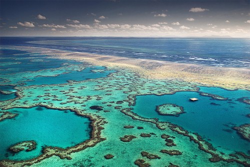 smart_ebook: Karang Penghalang Besar (The Great Barrier Reef)