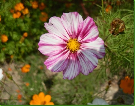 P3280033