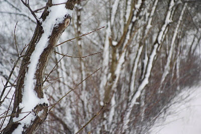 TV lens 50 mm 1:1.4 aka Fujian @2.0, 1/160 s