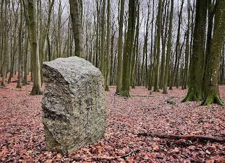 Zwischen-Sund-und-Kap-Arkona-100-Stubnitz-mit-Burgwaellen-04-Oberfoersterei-Werder-Fliegerstein