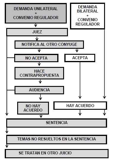 cuadro resumen proceso de divorcio