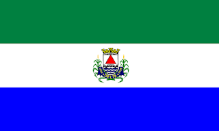 Bandeira de Delta MG