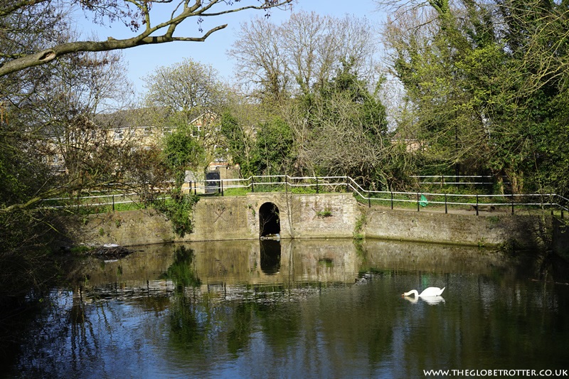 Swan and Pike Pool