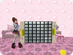 Tvd_20090209a_008