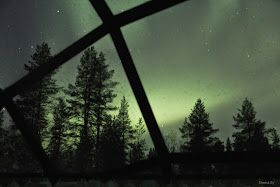 Northern Lights, Glass Igloo, Kakslauttanen, Finland