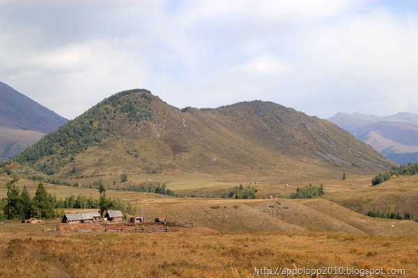 2010-09-09__14_12_3936__herman