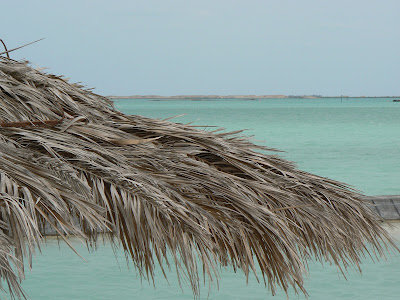The beach at Al Khor
