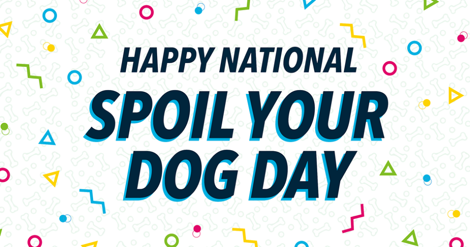 National Spoil Your Dog Day