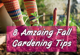 8 Fall Gardening Tips